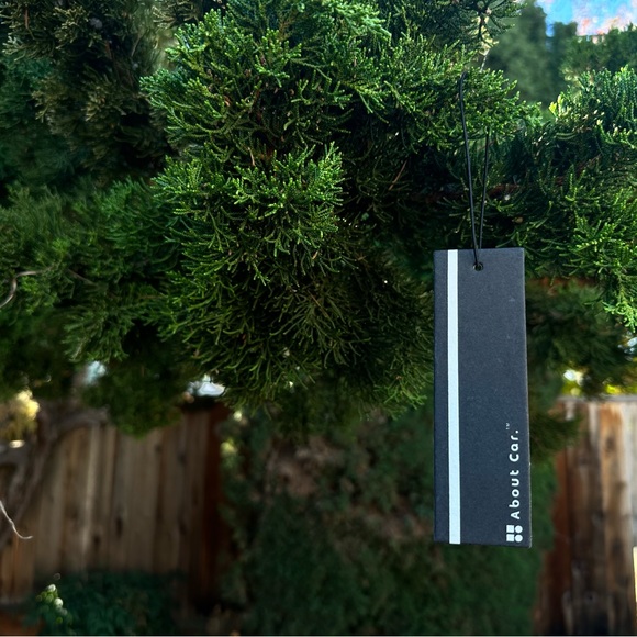 About Car Air Freshener | 24 Count (Pack of 1) | Frost Noir - Picture 1 of 4